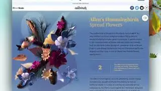 website design UI/UX Design Animation Examples For Inspiration