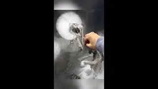 Художник 施展一张 Пекин