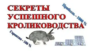 SECRETS OF SUCCESSFUL RABBITS BREEDING. PROFIT 1000%. April Fool's video.