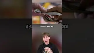 Foods That Have Secretly CHANGED (3) #Shorts