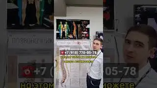 Позвоночник и внутренние органы 