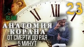 Хасан Али. От смерти до Рая 5 минут. Анатомия Корана #23