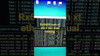 Asus Dual RX 6600 Nont Xt EtH + Ton Dual Mining