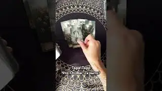 #shorts