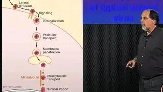 Virus entry - Ari Helenius (ETH)