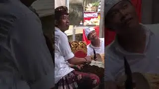 Bocil in action  