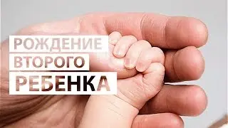 Рождение ВТОРОГО ребенка / Как ПОДГОТОВИТЬ первенца / Проект 