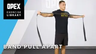 Band Pull Apart - Opex Exercise Library
