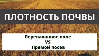 Сравнение плотности почвы с помощью пенетрометра на поле по NO-till и на перепаханном.