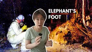 Most dangerous object in the world - Elephant's Foot in Chernobyl