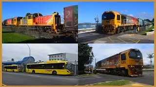 The Tauranga Rail and Bus Scenes ~ October 2024 (HD)