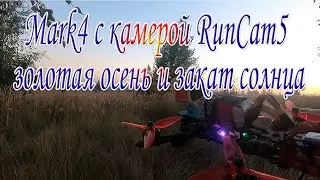 Начало золотой осени и уходящее солнце за горизонт (архив 2023 года осень)