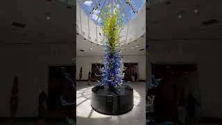 Orlando Museum of Art | Mills | Orlando, Florida