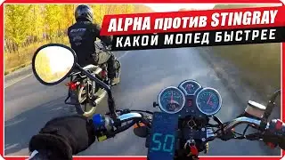Сравниваем мопед Альфа и Stingray / Что лучше ?! 