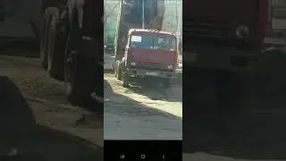 Весенняя хандра, или как Палыч съездил на пасеку.. (Осторожно мат).🤷🏼‍♂️