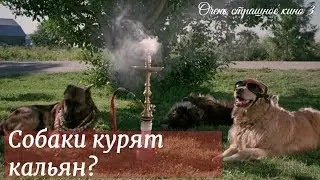 Собаки курят кальян. Нападение пришельцев. Очень страшное кино 3. Киноэпизод