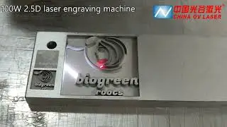 Metal mold seal deep engraving machine 100W 2.5D JPT mopa metal relief engraving machine