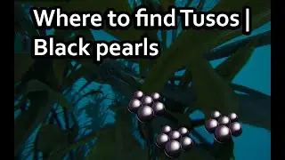 ASA | Center | Black Pearl locations | find Tusoteuthis