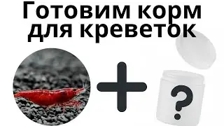 Часть 3. Готовим корм для аквариумных креветок. Самомес