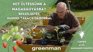 GREENMAN x Gundel Takács Gábor - Milyen növényeket javasolt ültetni magaságyásba és mikor?