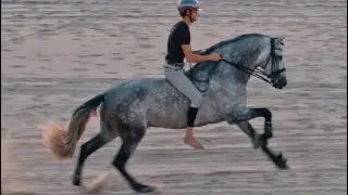 Epic Sunset Bareback Gallop 😍😳