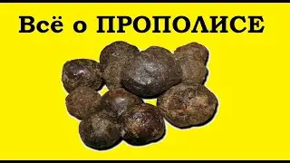 Propolis is a strong medicine from the beehive. For herpes, stomatitis, ulcers and burns