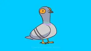 FINAL PIGEON