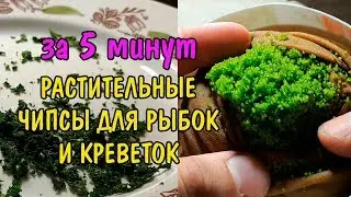 КАК СДЕЛАТЬ ЧИПСЫ ДЛЯ РЫБОК И КРЕВЕТОК СВОИМИ РУКАМИ