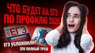 ПОЛНЫЙ разбор демоверсии 2025 по ПРОФИЛЮ I Умскул