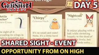 Shared Sight Event Day 5 Challenges Opportunity From On High Guide  - Genshin Impact