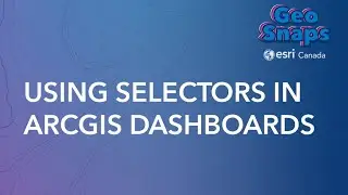 Using Selectors in ArcGIS Dashboards