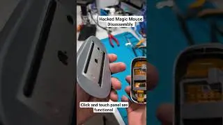 I hacked the Magic Mouse.And created the world's first ergonomic Magic Mouse with no weaknesses.