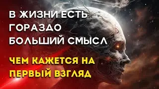 В жизни есть гораздо больший смысл, чем кажется на первый взгляд