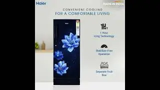 Haier 190L Marine Peony Fridge Review: HED-205MFB-P | Compact & Energy-Efficient!