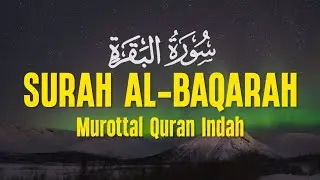 SURAH AL BAQARAH | Setan Kabur dari Rumah | Penenang Hati dan Pikiran | Ismail Al Qadi