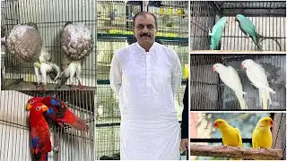 Multan Sunday Birds Rasheedabad 9 june 2024 latest Update​ I Part 2