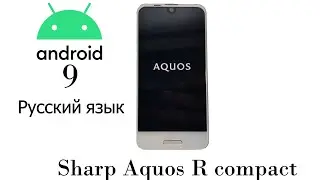 Обновление Sharp Aquos R Compact до Android 9.0, установка Русского языка