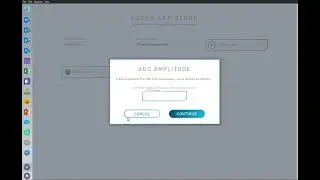 Amplitude