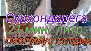 Бахорда эланган биогумусни сотиб булай деб колдик .