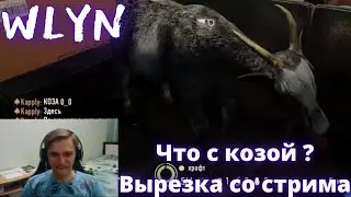 Угарный момент со стрима