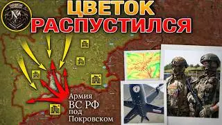 Покровск Попал В Оперативное Окружение🔥 Первые ДРГ Замечены В Доброполье⚠️ Военные Сводки 12.08.2025