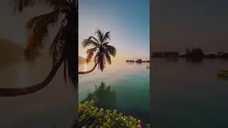 Сейшелы
