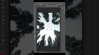 Photoshop Trick - Patch Tool Usages