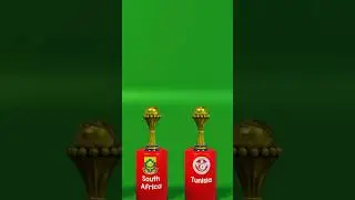 AFRICA CUP OF NATIONS • WINNERS LIST 3D #football #afcon2023 #afcon2024 #afcon #africa  #fifa #caf