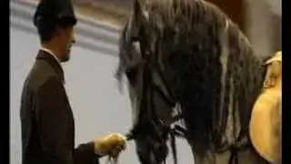 Spanish Riding School