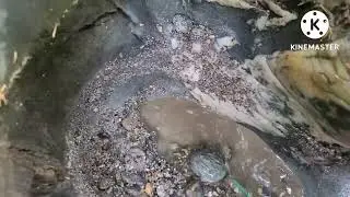 Золото с плотика.