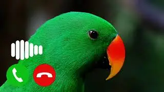 New Sms Ringtone 2022 || Hindi message tone || Sad message ringtone | Viral message Sms tone 2022 ||