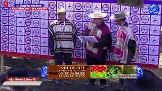4TA SERIE LIBRE B, 32° CAMPEONATO NACIONAL DE RODEO EN MEDIALUNA SOCABIO, LOS ANGELES 2024.