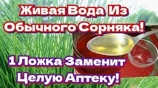 ЖИВАЯ ВОДА из Обычного Сорняка Заменит Целую Аптеку! Кости Позвоночник Суставы Печень Кожа/Рецепт