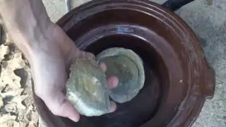 Hunting Fossil Pearls - We Open Two Fossil Oysters!!